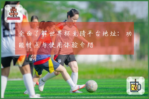 全面了解世界杯竞猜平台地址：功能特点与使用体验介绍