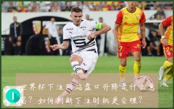 世界杯下注网站盘口升降是什么意思?如何判断下注时机更合理?