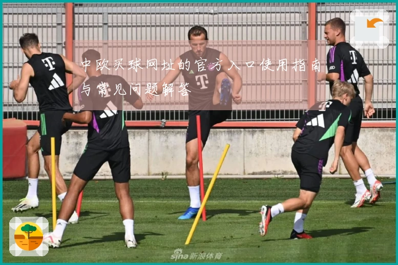 中欧买球网址的官方入口使用指南与常见问题解答