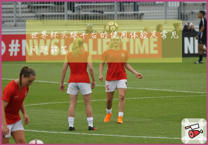 世界杯买球平台的使用体验及常见问题解答