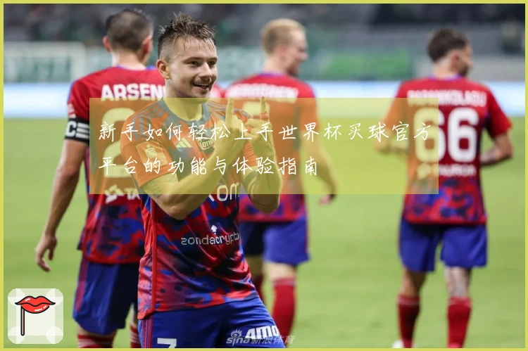 新手如何轻松上手世界杯买球官方平台的功能与体验指南