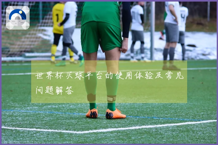 世界杯买球平台的使用体验及常见问题解答