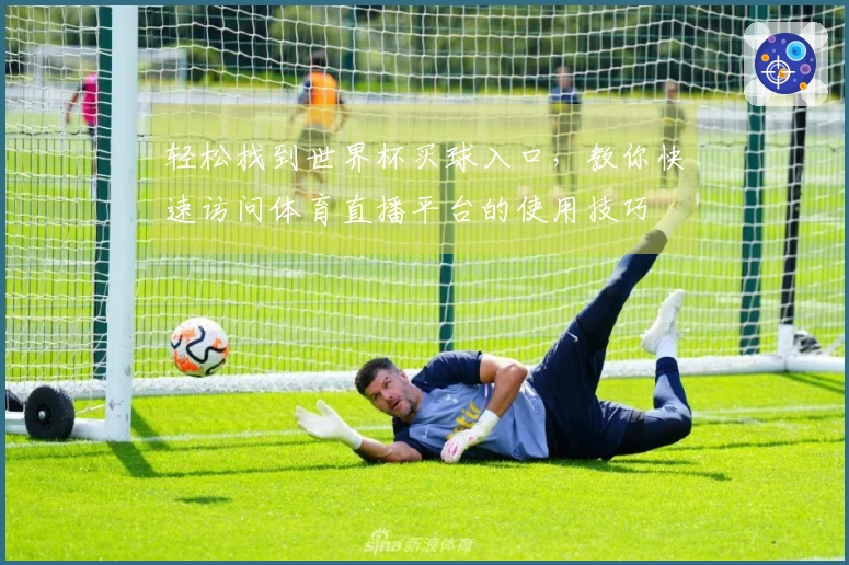 轻松找到世界杯买球入口，教你快速访问体育直播平台的使用技巧