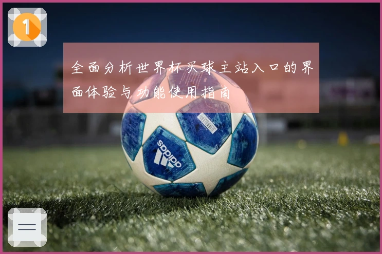 全面分析世界杯买球主站入口的界面体验与功能使用指南