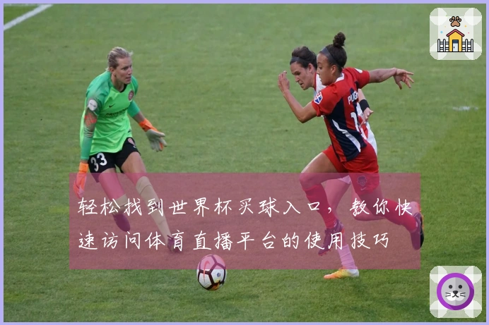 轻松找到世界杯买球入口，教你快速访问体育直播平台的使用技巧
