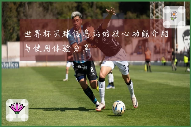 世界杯买球信息站的核心功能介绍与使用体验分享