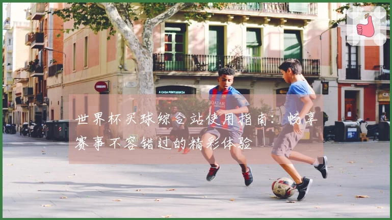 世界杯买球综合站使用指南：畅享赛事不容错过的精彩体验