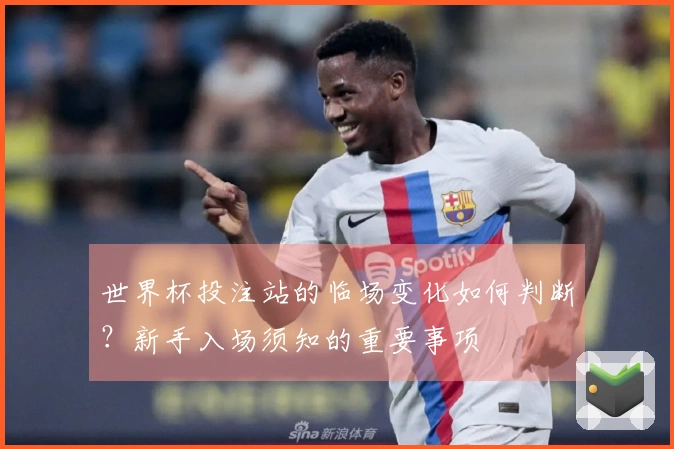 世界杯投注站的临场变化如何判断?新手入场须知的重要事项