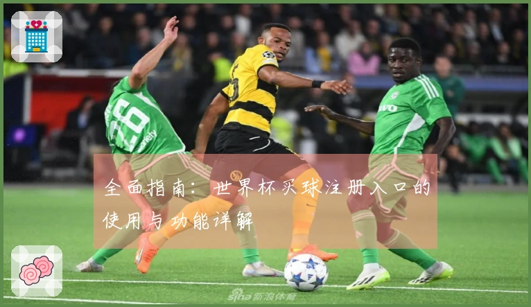 全面指南：世界杯买球注册入口的使用与功能详解