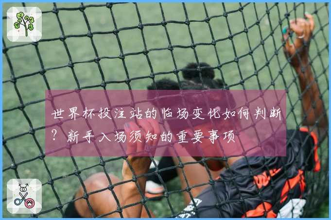 世界杯投注站的临场变化如何判断？新手入场须知的重要事项